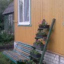 ���� ������, �����, 53 ���� - ��������� 2 ���� 2013 � ������ ���� ����������