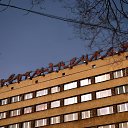 ���� ������, �����������, 33 ���� - ��������� 22 ���� 2013 � ������ ���� �����