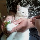 ��� ���,������ ��� ��� 6 ���! �� ������� ���� ����������