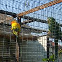 ���� ������, ������, 48 ��� - ��������� 22 ������ 2009