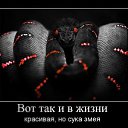 ���� �������, �����, 46 ��� - ��������� 11 ������ 2013 � ������ ��������������