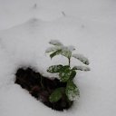 ������ �������� ������� �����.. �� ������� ������� ����