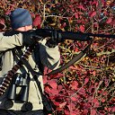 ���� Ը���, ����, 43 ���� - ��������� 20 ������ 2013 � ������ ���� ����������