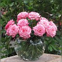 ���� ��������, ������ - ��������� 23 ������� 2010 � ������ �������