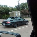 ���� �������, ���������, 35 ��� - ��������� 23 ����� 2010 � ������ ������ ������ �����