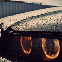 ���� ����� (=^.^=)_____?, �������� - ��������� 18 ����� 2013 � ������ ���� ����������