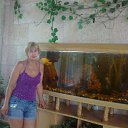 ���� ��������, �������� - ��������� 12 ������� 2012 � ������ ���� ����������