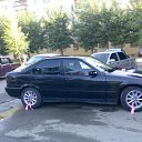 ���� ˸��, ������, 37 ��� - ��������� 1 ������� 2011 � ������ �������