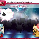 ���� ����, ����������, 22 ���� - ��������� 6 ������� 2010 � ������ �PetLove�