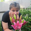 ���� ������, ������, 49 ��� - ��������� 20 ���� 2012 � ������ ���� ����������