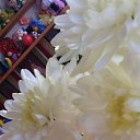 ���� ���� ����������, �����, 56 ��� - ��������� 30 ����� 2013 � ������ ���� ������ �� ������