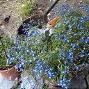 ���� ������� :����� �����!!!, ������������ - ��������� 24 �������� 2012 � ������ �������