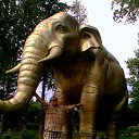 ���� ���������, ������, 39 ��� - ��������� 30 ���� 2012 � ������ ���� ����������