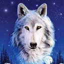 ���� �������, ������ �������, 39 ��� - ��������� 4 ������� 2011 � ������ �������