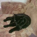 ���� ����, �����, 28 ��� - ��������� 19 ������ 2010 � ������ ���� ����������