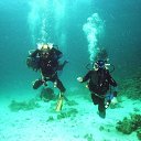 ���� Max, �����-��������� - ��������� 19 ������� 2010 � ������ �������� � ������.�