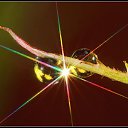 ���� ������, ������, 34 ���� - ��������� 26 ��� 2010 � ������ ����� � ��������