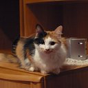 ���� Vbkf, �����-���������, 55 ��� - ��������� 20 ��� 2012 � ������ �������