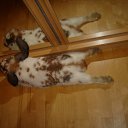 ���� ����, ������ - ��������� 13 ���� 2013 � ������ ����� ��� ������������