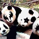 ���� ����. ��������� �� ��!, ������, 72 ���� - ��������� 27 ����� 2011 � ������ ��������߻