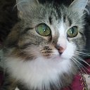  ,  -  21  2010     &quot;&quot;  - !