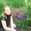 ���� �������, ������, 43 ���� - ��������� 1 ������� 2009 � ������ ���� ����������