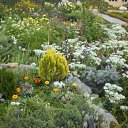 ���� �������, ���������, 59 ��� - ��������� 31 ���� 2011 � ������ �������