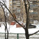 ���� ��������, ������ - ��������� 8 ����� 2011 � ������ �����-���