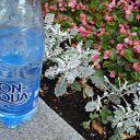 ���� ������, ������, 29 ��� - ��������� 24 ���� 2010