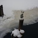 ���� ����, �������, 55 ��� - ��������� 16 ������� 2010 � ������ ������... ����...�