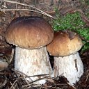 ���� ���, ������ - ��������� 13 ������ 2010 � ������ �������