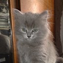 � �������! �� ������� ����� ��� ������������
