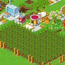 ���� �����, �����, 35 ��� - ��������� 25 ������ 2011 � ������ ������� �������