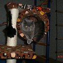 ���� �������, ����-���������, 34 ���� - ��������� 8 ���� 2011 � ������ ���� ����������