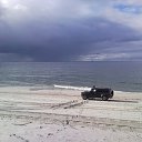 ���� ����, �����������, 47 ��� - ��������� 21 ���� 2011 � ������ ���� ����������