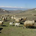 ���� ����������, ����, 75 ��� - ��������� 17 ������ 2012 � ������ �����-4�