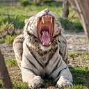 ���� ����, ������, 25 ��� - ��������� 7 �������� 2012