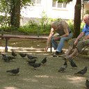   ( -        ,  -  16  2010      