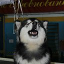 ���� ���������, ����-���, 67 ��� - ��������� 10 ������ 2012 � ������ �������