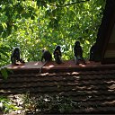 ���� ���� �� �������, ������, 42 ���� - ��������� 24 ������ 2011 � ������ �������