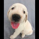 ���� �����, ���� - ��������� 25 ������� 2013 � ������ ���� ������ ������� �����, ��� ������ �������� ������)))�