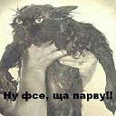 ���� ���� ���������, ������, 39 ��� - ��������� 15 ���� 2012 � ������ �������