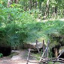 ���� ������, �����, 59 ��� - ��������� 2 ���� 2013 � ������ ���������� ����� - ����� �������