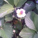 ���� N, ���������, 68 ��� - ��������� 14 ���� 2012 � ������ ���� ����������