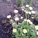 ���� ������, ������, 63 ���� - ��������� 6 ����� 2012 � ������ ���� ������