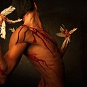 ���� ���������, ������, 49 ��� - ��������� 14 ������� 2010 � ������ ����