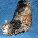 ���� ����, �����, 25 ��� - ��������� 30 ������ 2012 � ������ ������