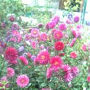 ���� ����, ��������, 49 ��� - ��������� 4 ���� 2011 � ������ �RoadKing�