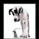 ���� �����, ������, 45 ��� - ��������� 23 ������ 2011 � ������ ���������