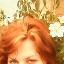 ���� ����, �����, 41 ��� - ��������� 20 ��� 2013 � ������ ���� ����������